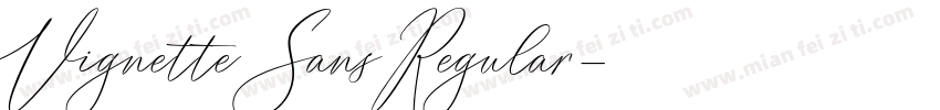 Vignette Sans Regular字体转换